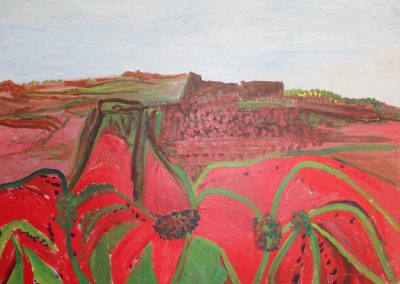 Red Flowers on Hill