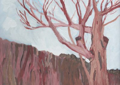 Tree near Sleeping Giant